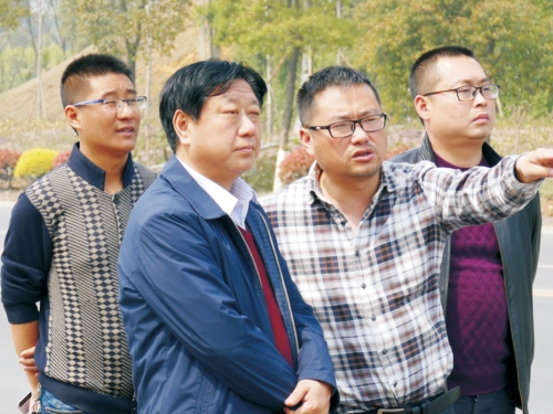 文联主席虞潜指导纳溪区都会蹊径景观品质提升工程