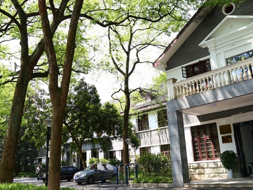 市妄想局营业用房景观绿化提升工程