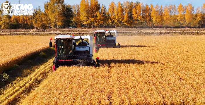 28d83f64f8a644eda7f66cba9b16a030