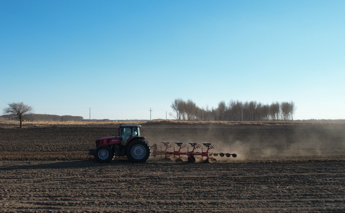 1568720d54884f8786666ea9b10d8e97