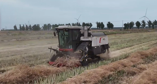 首页| 优德88中国集团官方网站