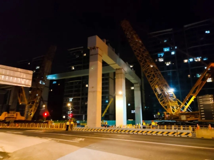 229dc9fe284543c58f72a756b798d733