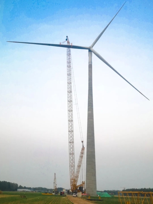 首页| 优德88中国集团官方网站