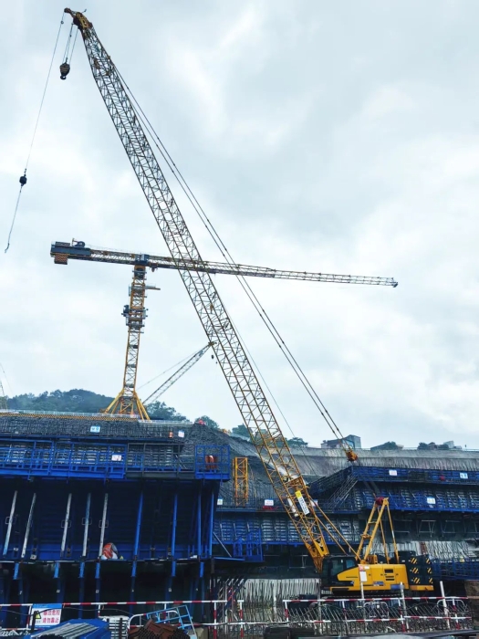 首页| 优德88中国集团官方网站