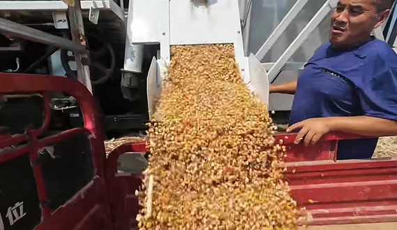 首页| 优德88中国集团官方网站