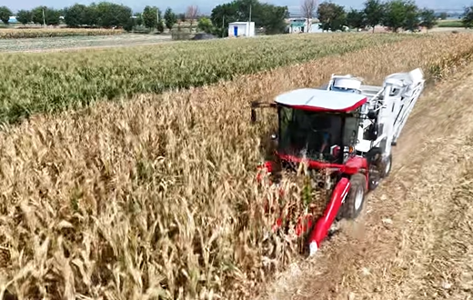 首页| 优德88中国集团官方网站