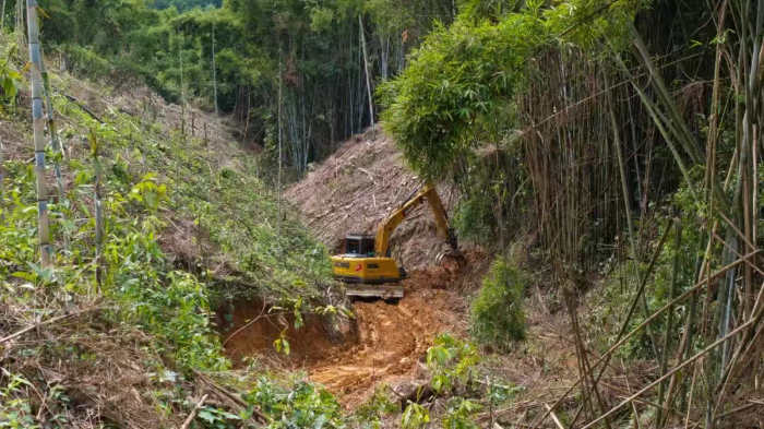 林间“藏龙”，，竹海！！拔曰ⅰ薄诺88林业挖机广西侠客行