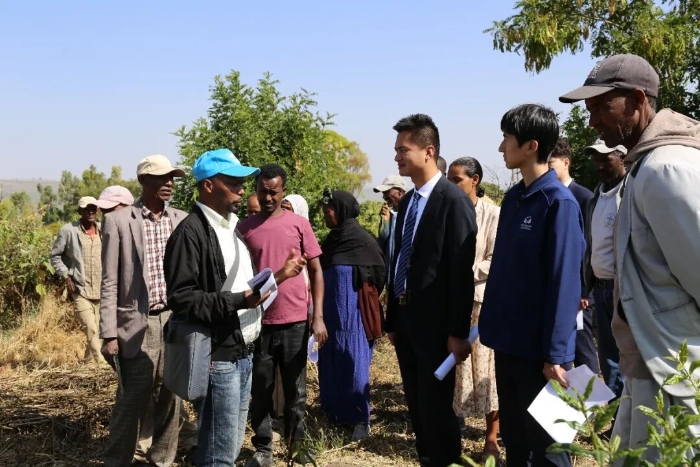 25829adce747400d84e160be19ebd17d